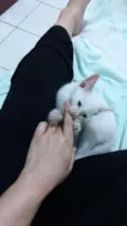 Zeus