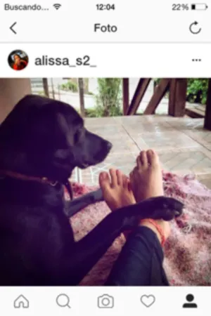Cachorro raça indefinida idade 2 anos nome Pretinha
