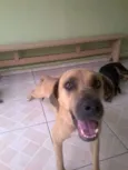 Lorenzo