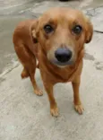 Mel