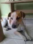 Jack