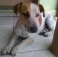 Jack