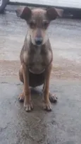 Nao tem