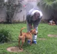 Pirulito