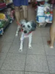 Bob