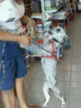 Bob