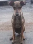 Nao tem