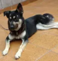 Susy