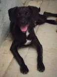 Marley