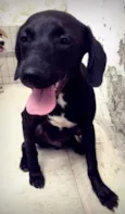 Marley