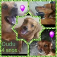 Dudu