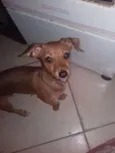 Dug