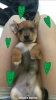 Dug