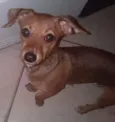 Dug
