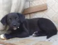 Neguinha