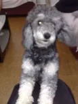 Boby