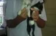 Preta e Branca