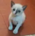 Preta e Branca