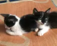 Nina e Laila