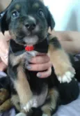 Lulu