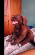 Marley