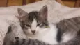 Chloe 