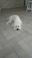 Nick