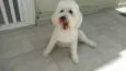 Nick