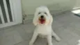 Nick