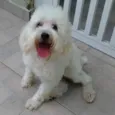 Nick