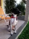 Boby