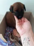 Cirilo