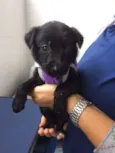 Tina