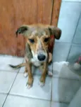 Não tem 