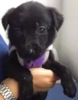 Tina