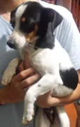 Mimi