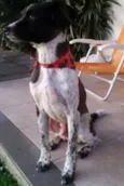 Boby