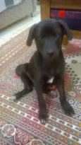 Jonhy