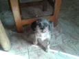 Bolota
