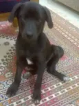 Jonhy