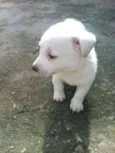 Ainda não tem