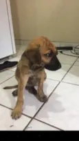 Não tem