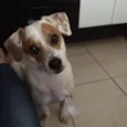 Bolota