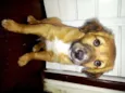 Spike