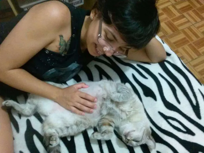 Gato ra a SRD idade 6 ou mais anos nome Copélia