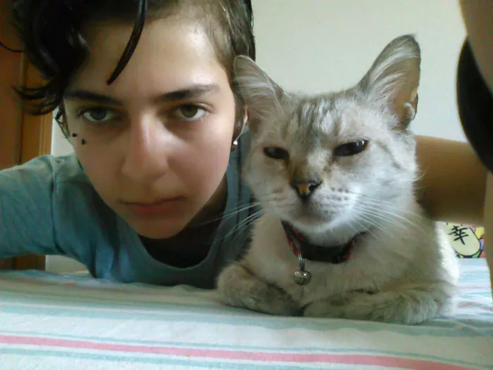 Gato ra a SRD idade 6 ou mais anos nome Copélia
