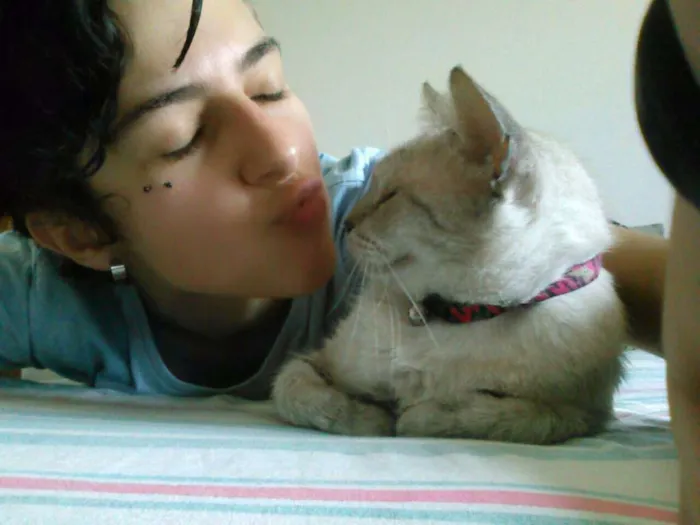Gato ra a SRD idade 6 ou mais anos nome Copélia