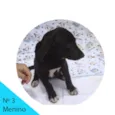 Menino 3