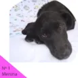 Menina 1
