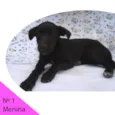 Menina 1